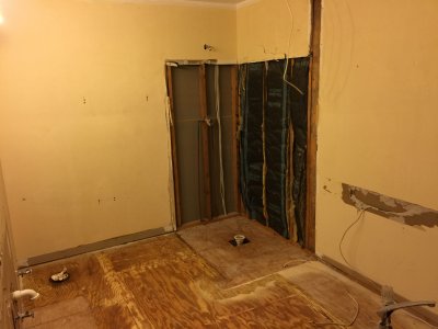 Master Bath demo - 2.JPG