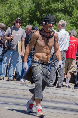 DSC_8738 scruffy.jpg