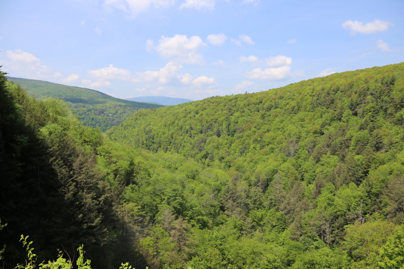 IMG_0614.JPG