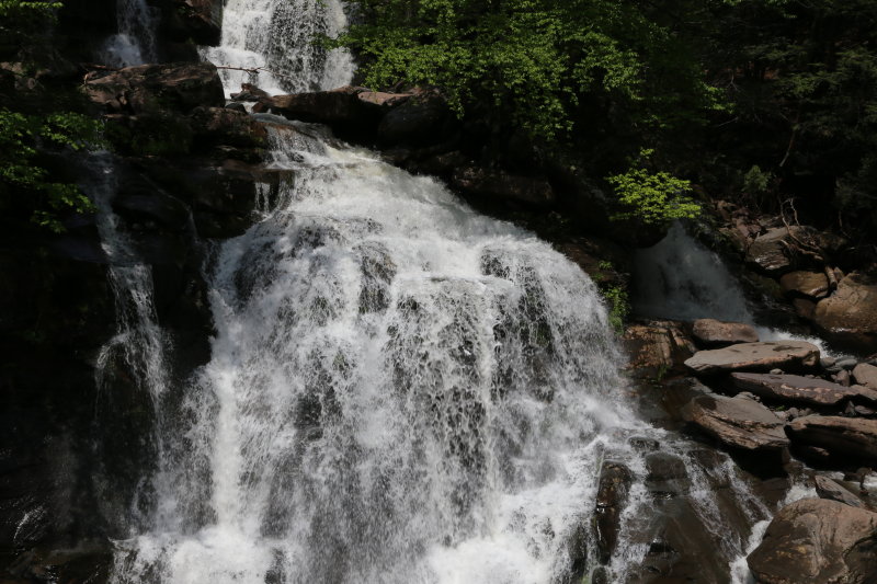 IMG_0642.JPG
