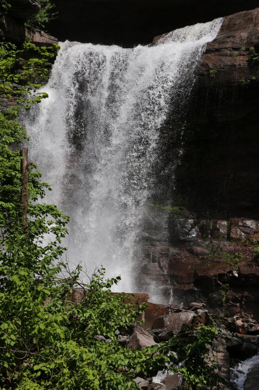 IMG_0658.JPG