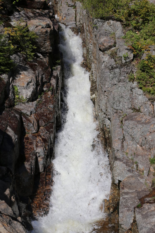 IMG_0580.JPG