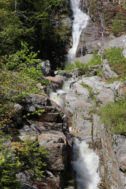 IMG_0582.JPG