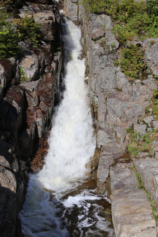 IMG_0589.JPG