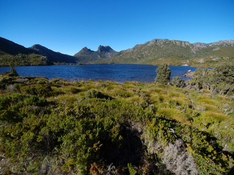 P2239051_4w.jpg