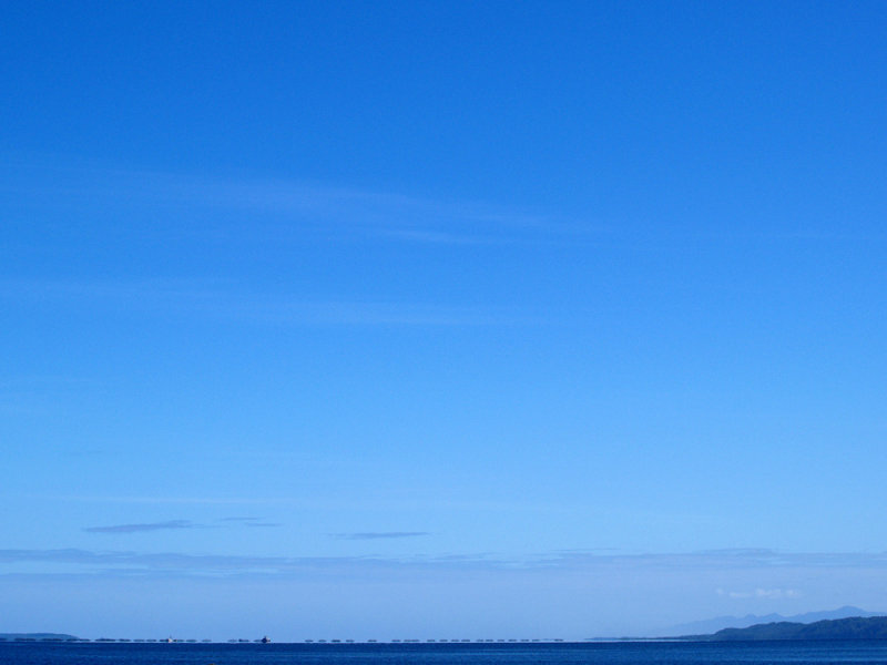 P2249500_4w.jpg