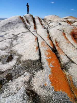 tasmania