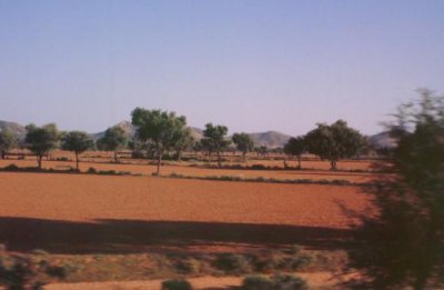 1995006086 Rajasthan farmland.jpg