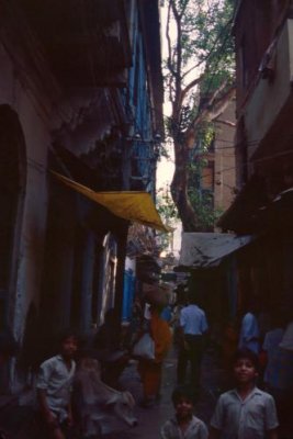 1995007059 Alleyway Varanasi.jpg