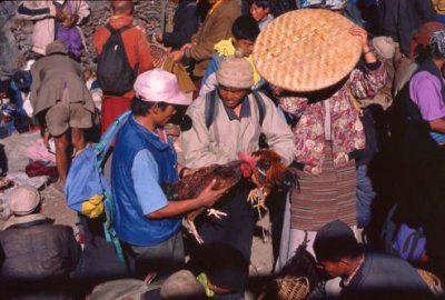 1995008042 Namche market.jpg