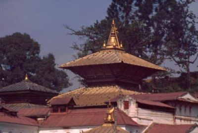 1995010011 Pashupatinath Temple.jpg