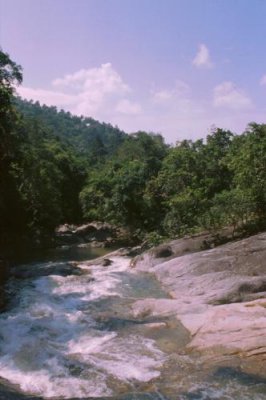 g9/84/488584/3/155225050.YhFBIXmx.jpg