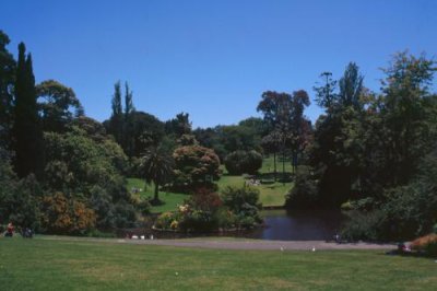 1995011039 Botanical Gardens Melbourne.jpg