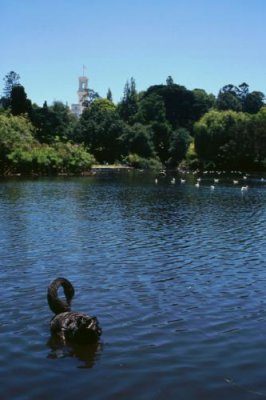 1995011043 Botanical Gardens Melbourne.jpg