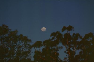 1996011064 Full Moon Dandenong.jpg