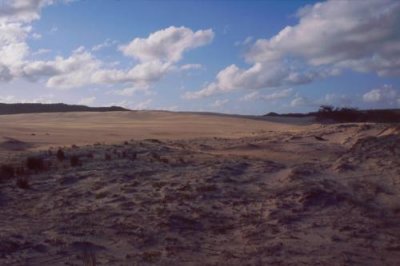 1996012014 Sand Dunes Fraser.jpg
