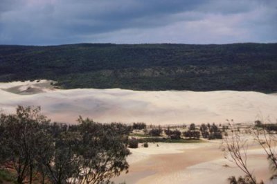 1996012032 Sand Dunes Fraser.jpg