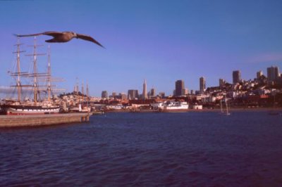 1996016006 Marina San Francisco.jpg