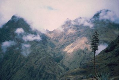 1996016066 Warmiwanhusca Inca Trail.jpg