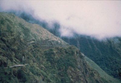 1996016068 Sayamarca ruins Inca Trail.jpg