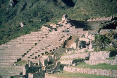 1996016077 Inca Terracing Machu Picchu.jpg
