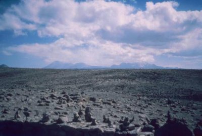 1996016091 Peruvian altiplano.jpg