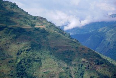 1997021091 Rice terraces Sete.jpg