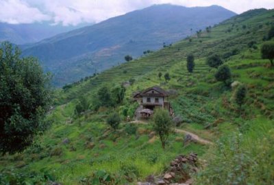 1997022031 House fields near Nuntala.jpg