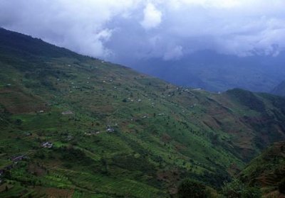 1997022043 terraces bupsa 1997.jpg