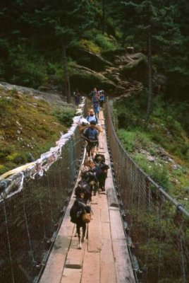 1997022074 Goats cross Dudh Kosi.jpg