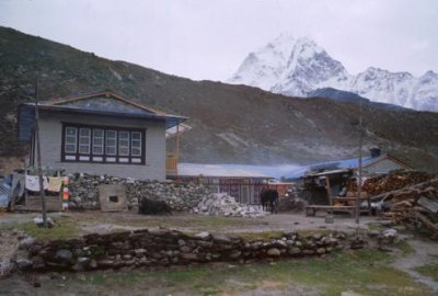 1997023068 Himalayan GH Pheriche.jpg
