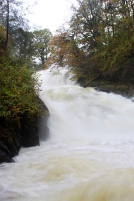 2013107929 Swallow Falls.jpg