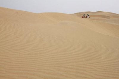 2014079181 Sand Dunes Thar Desert.JPG