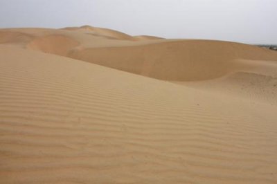 2014079200 Sand Dunes Thar Desert.JPG