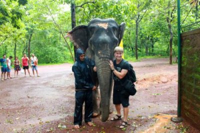 2014079883 Paul elephant Goa.JPG