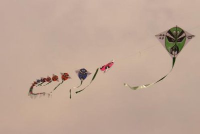 2015081891 Kites in Xian.jpg
