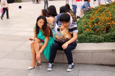 2015082075 Couple with dog Shanghai.jpg