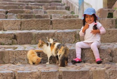 2016033374 Cats Girl Cusco.jpg