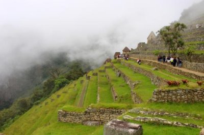 2016045442 Terraces Machu Picchu.jpg