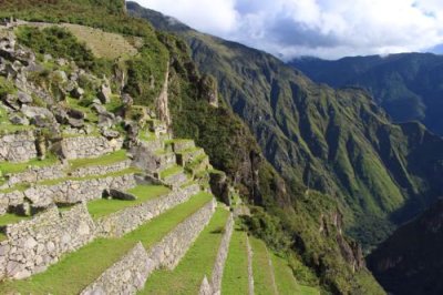 2016045601 Terracing Machu Picchu.jpg