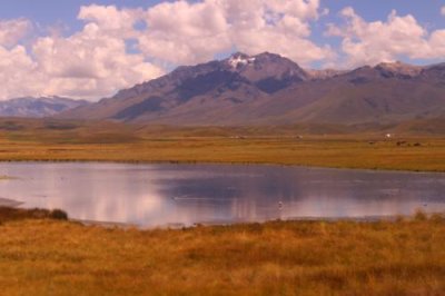 2016044617 Lake and peak Altiplano.jpg