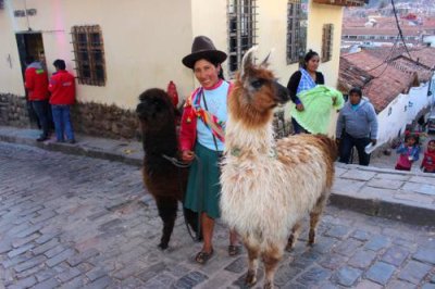 2016044706 Cusco alpacas.jpg