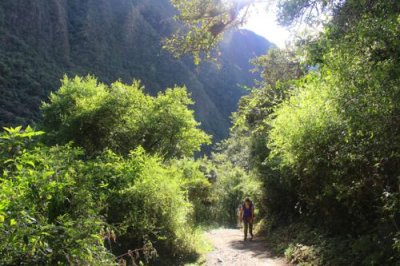 2016045082 Cloud Forest Inca Trail.jpg