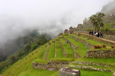 2016045442 Terraces Machu Picchu.jpg