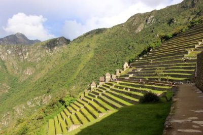 2016045622 Terracing Machu Picchu.jpg