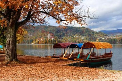 2016108719 Boats Lake Bled.jpg