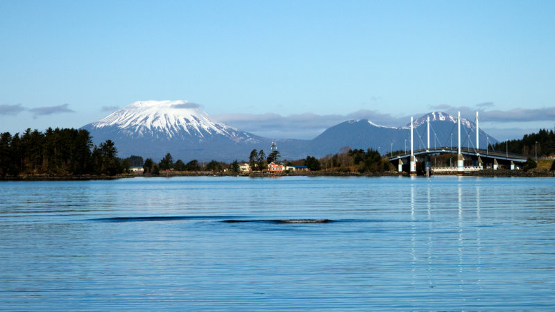 Sitka View