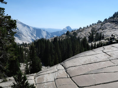 eYosemite1165.jpg