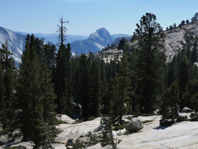 eYosemite1188.jpg