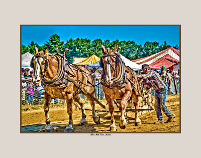 Blue Hill Fair 2007